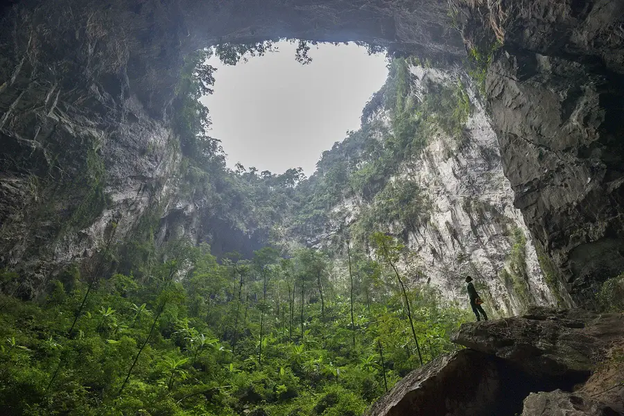 Doline de Sơn Đo&ograve;ng vue depuis l&rsquo;int&eacute;rieur, avec sa v&eacute;g&eacute;tation