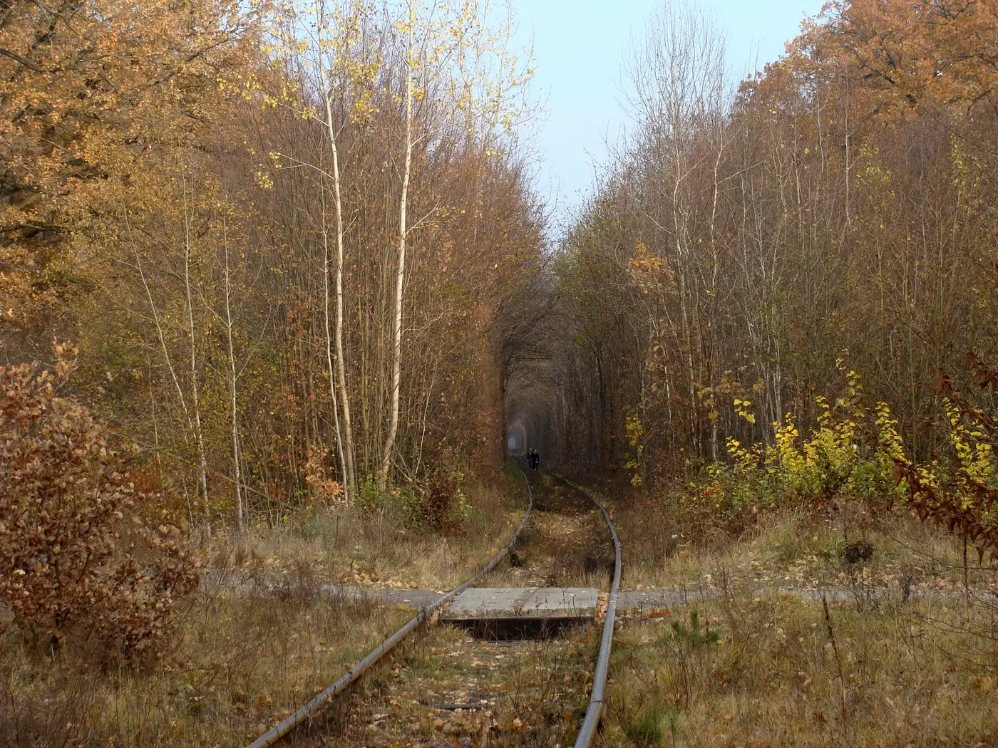 La voie ferrée de Klevan hors du tronçon arboré, ballast et talus